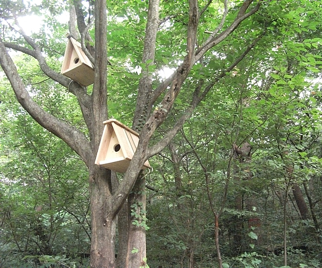 杉と竹で作った小鳥の小屋｜DIYレシピ