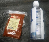 ステップ13