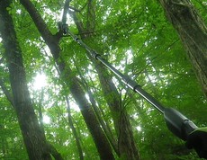 ステップ13