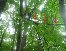 ステップ14