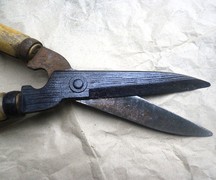 ステップ5