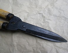 ステップ6