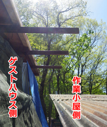 ステップ1