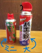 ステップ9