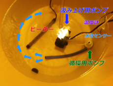 ステップ10