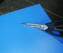 ステップ13