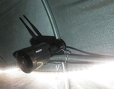 ステップ10